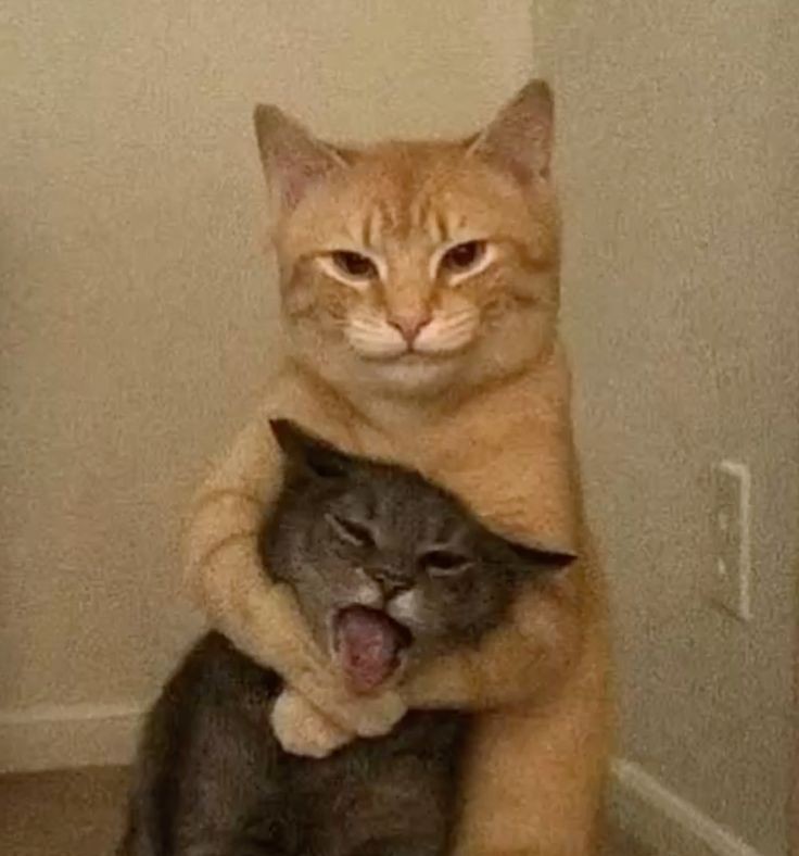 Taller d'Autodefensa