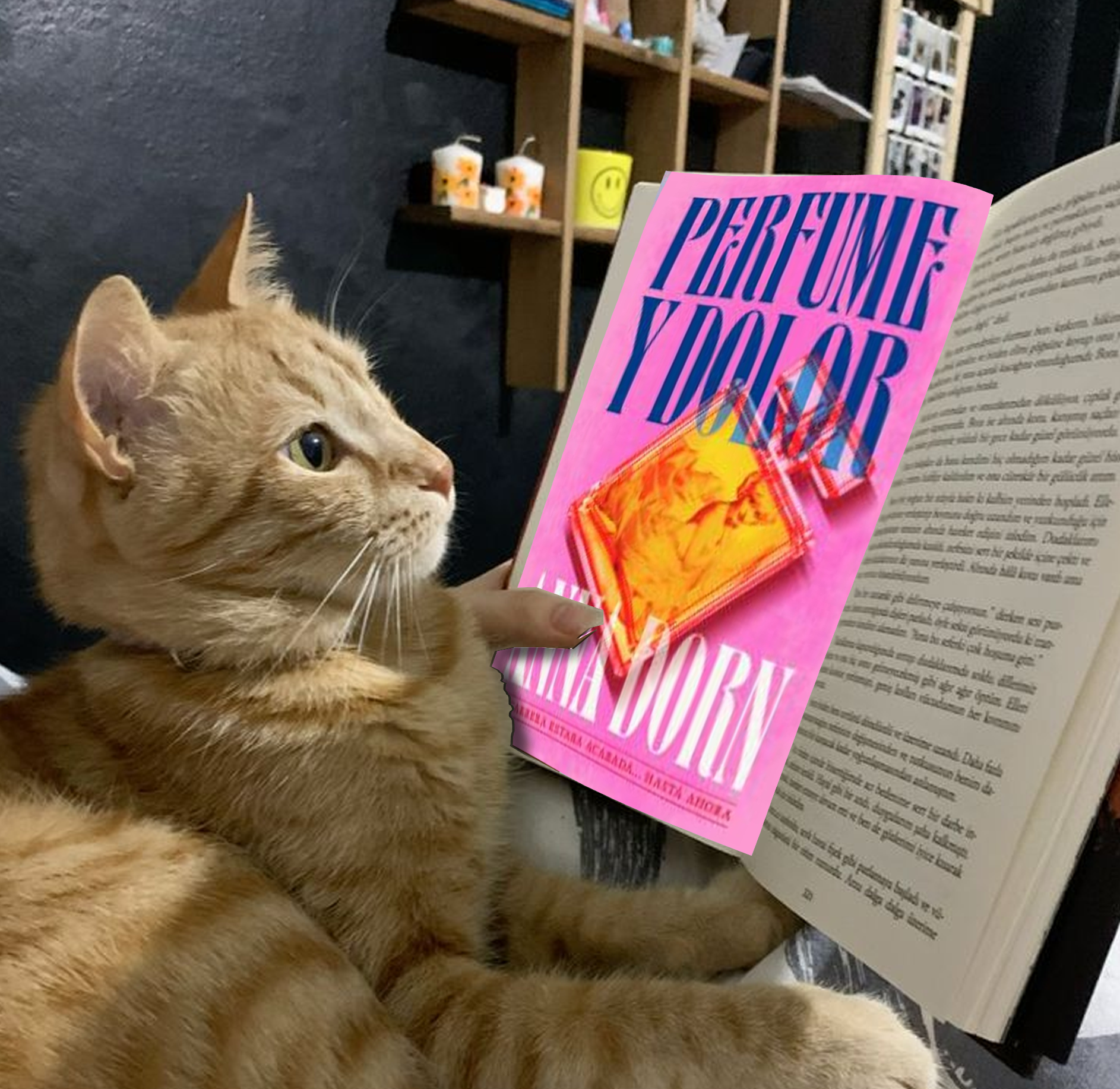 Club de Lectura Sàfic