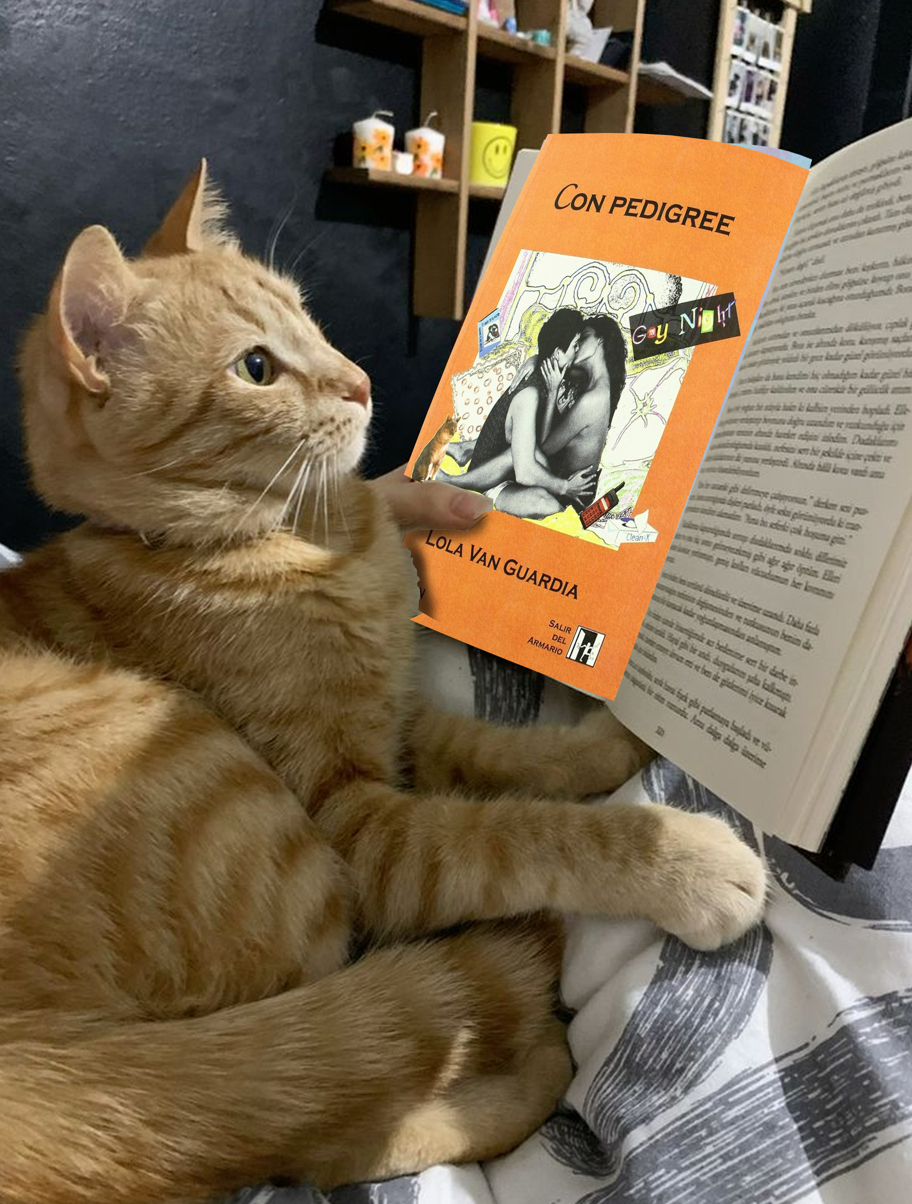 Club de Lectura Sàfic